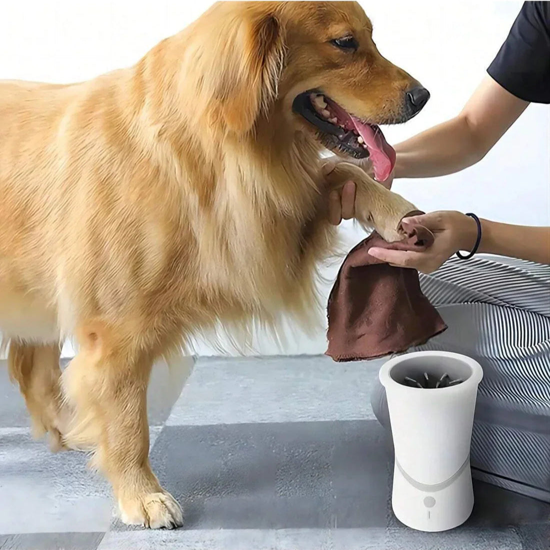 Pet electric foot washer